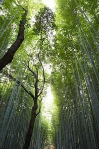 Test Title Article Case Study